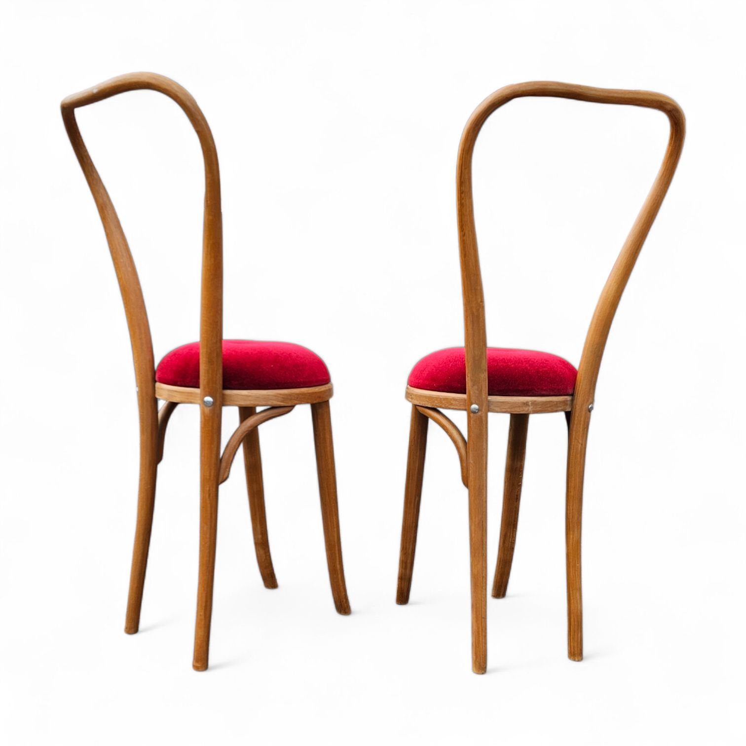 2 X Rare Bentwood Side Chair 1960 photo 858.0