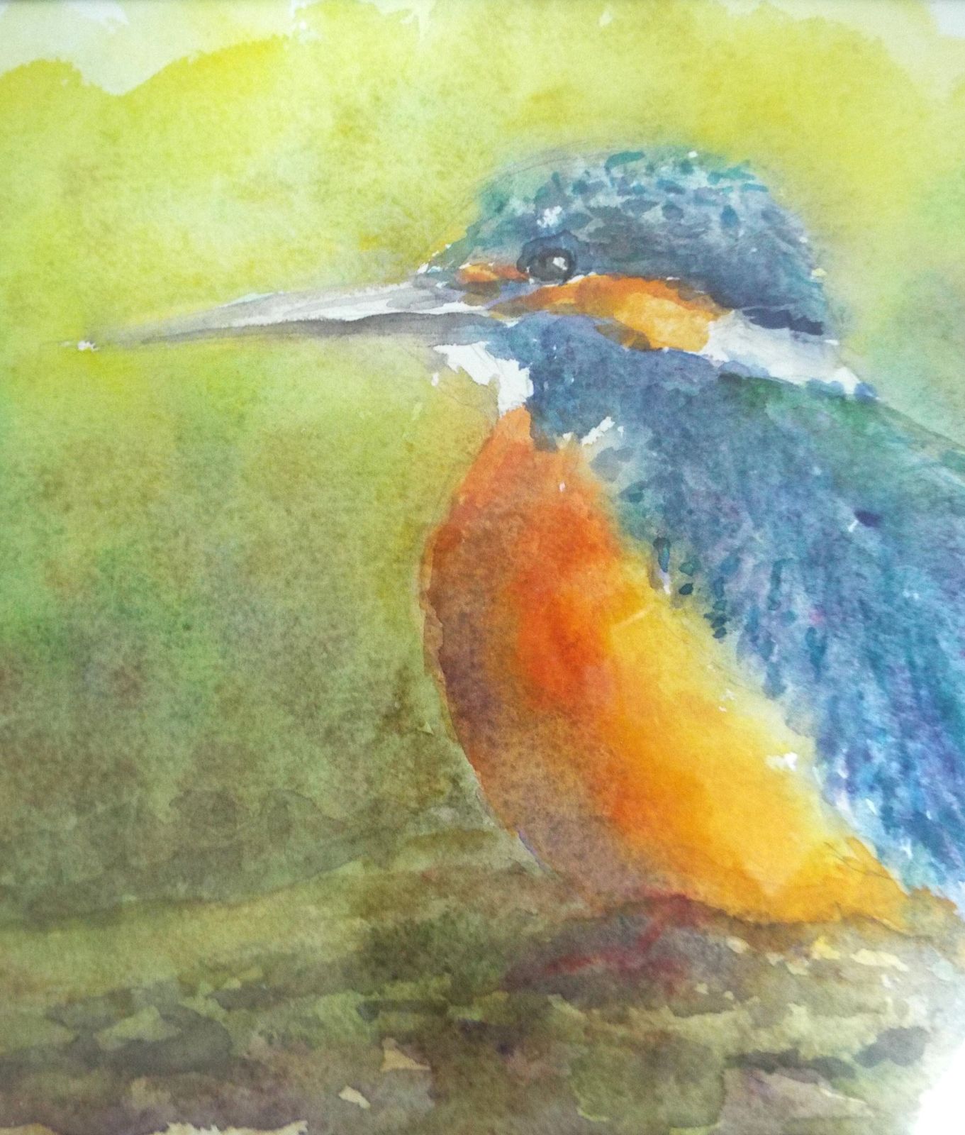 New Framed Original Watercolour Wildlife Painting Kingfisher Signed Andi J Lucas photo 75.0