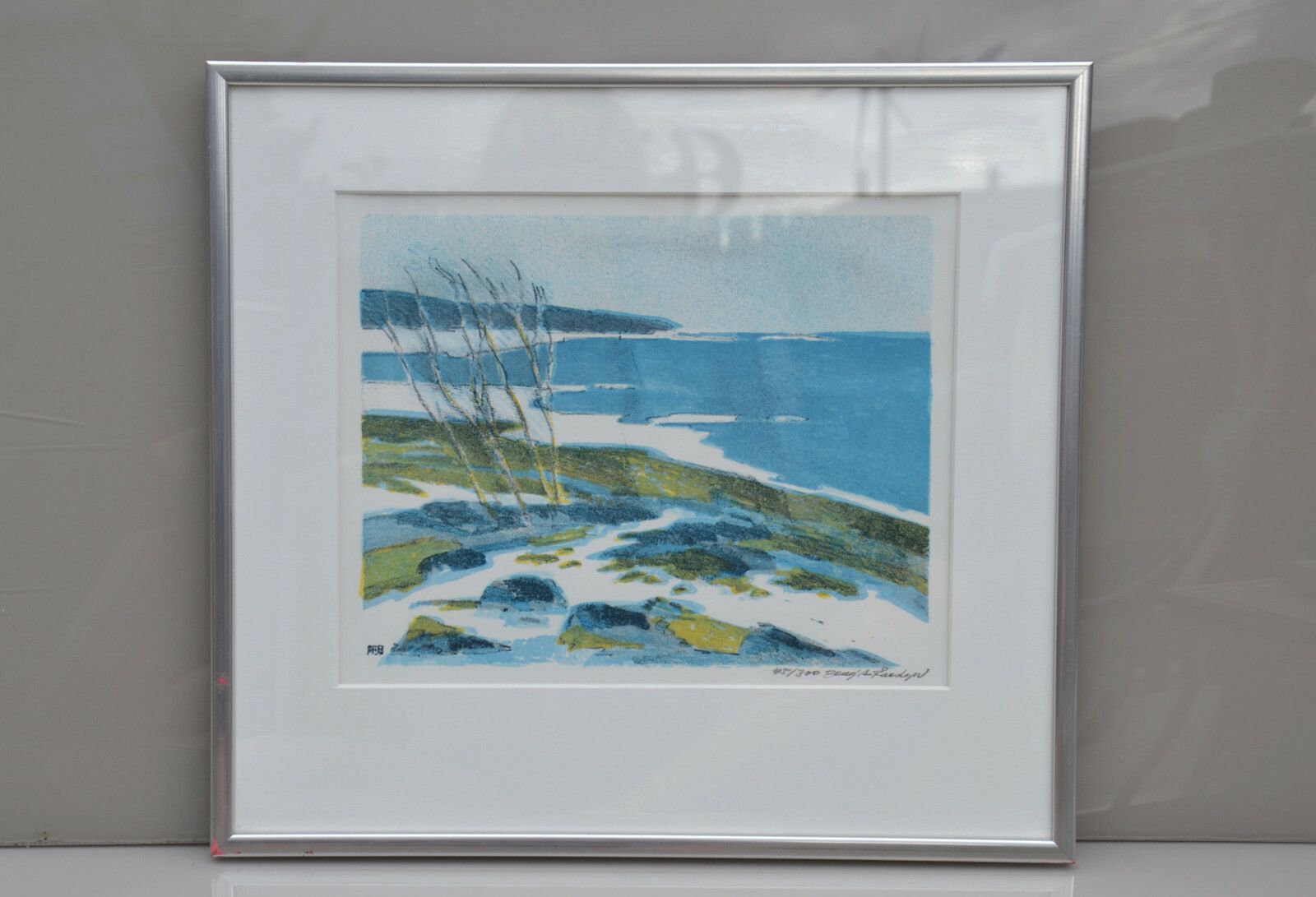 Small  Lithography On Paper  Winter Seascape, Signed , Nr 45/300 photo Art