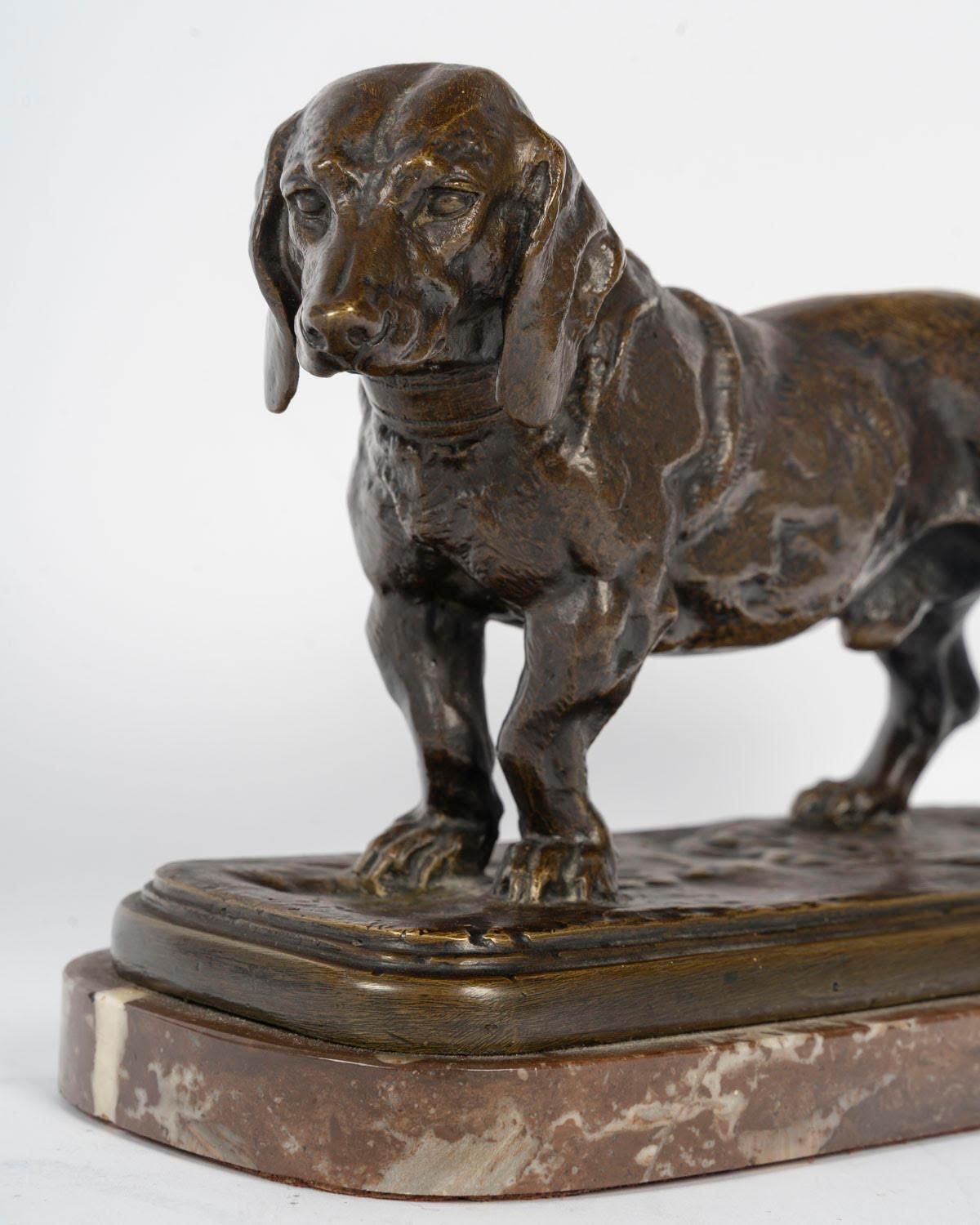 Bronze Sculpture Of A Basset Hound In Patinated Bronze, Signed Barye. photo 4014.0