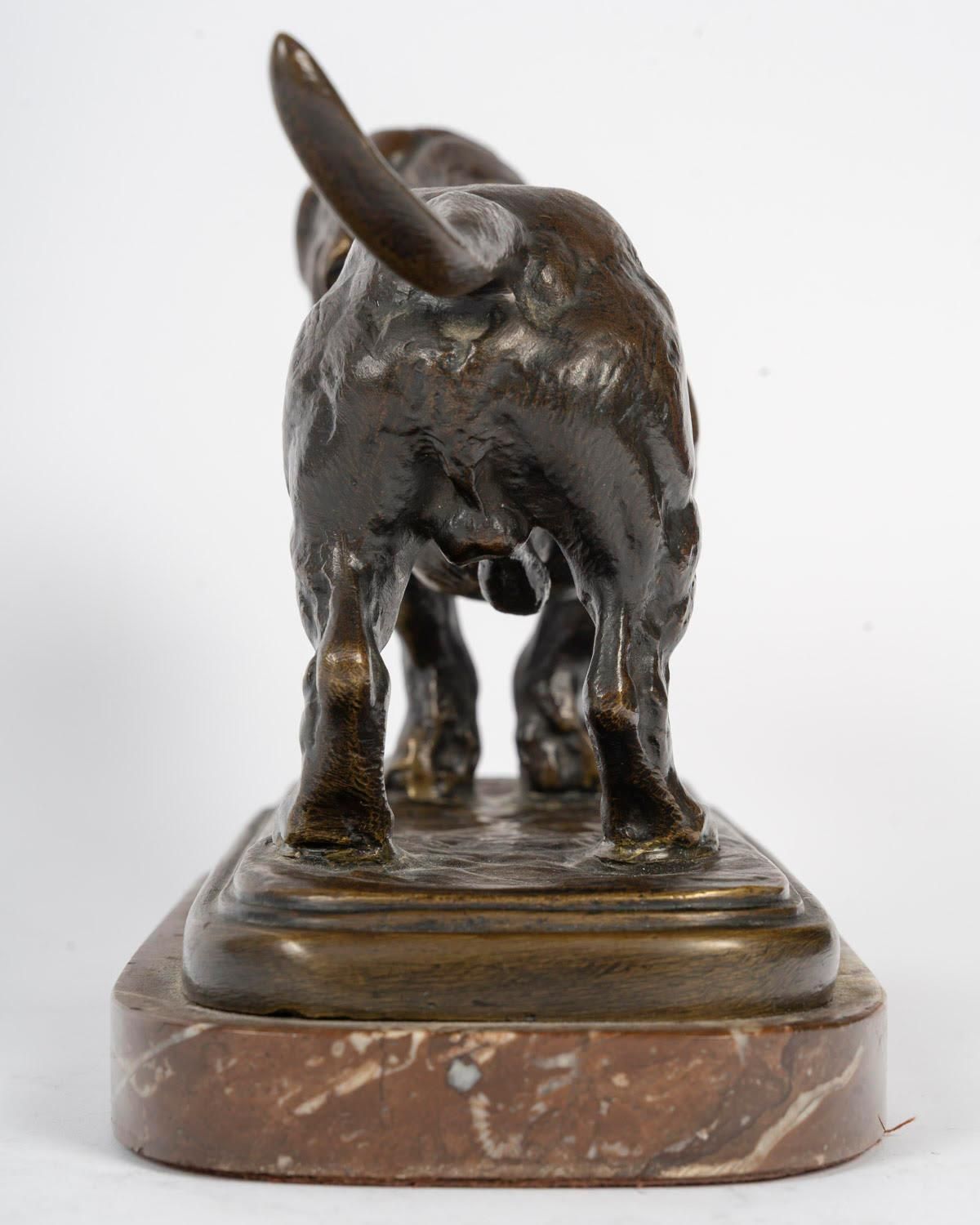 Bronze Sculpture Of A Basset Hound In Patinated Bronze, Signed Barye. photo vintage