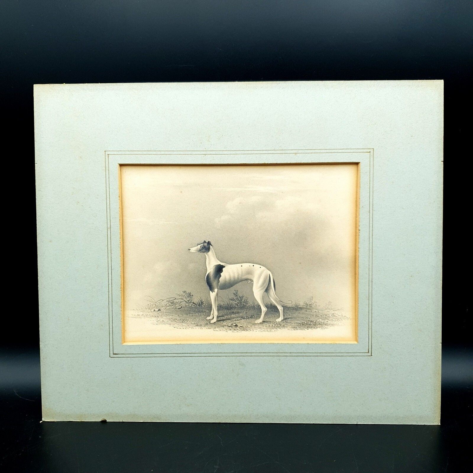 Early 19thc Original Greyhound Drawing On Card C1800–1830 British Sporting Art photo furniture