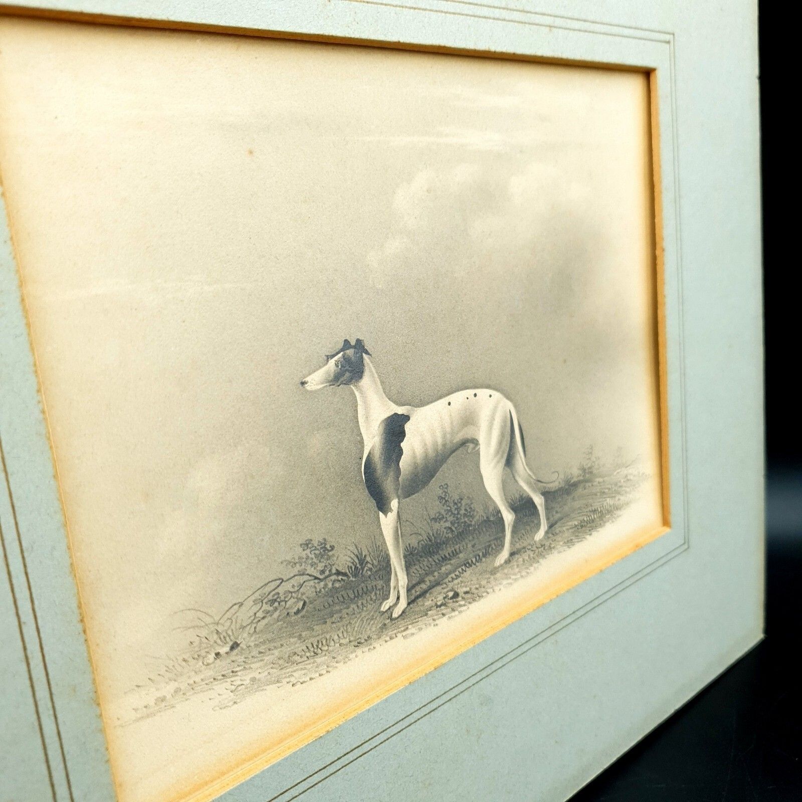 Early 19thc Original Greyhound Drawing On Card C1800–1830 British Sporting Art photo vinterior