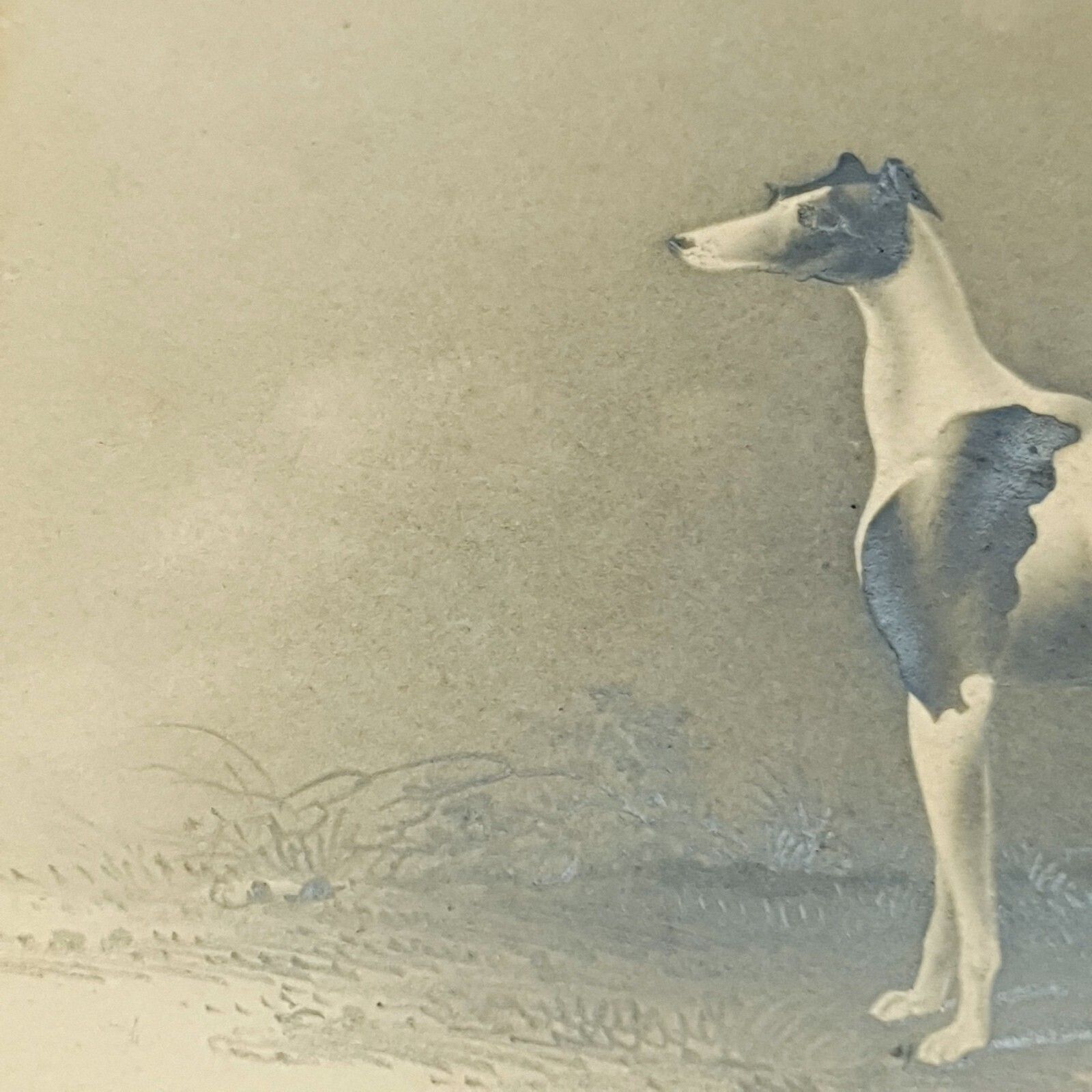 Early 19thc Original Greyhound Drawing On Card C1800–1830 British Sporting Art photo vintage