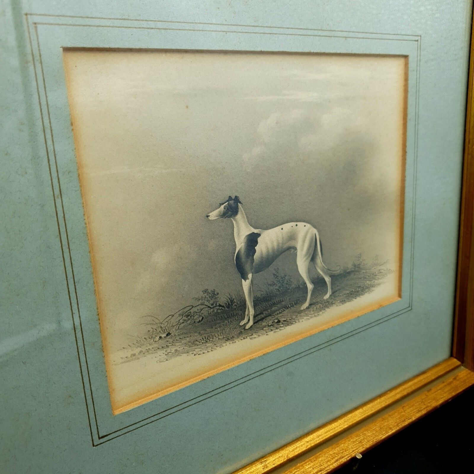 photo vinterior Early 19thc Original Greyhound Drawing On Card C1800–1830 British Sporting Art