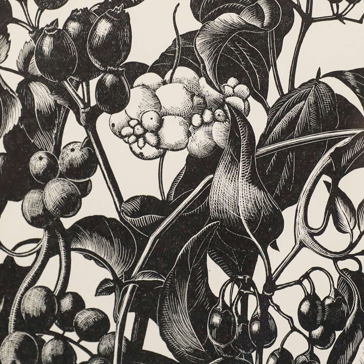 Clare Leighton (1898 1989) Mid 20th Century Woodcut, Berries photo Art