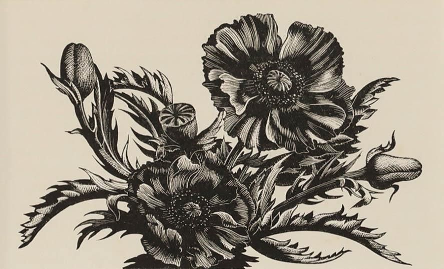 Clare Leighton (1898 1989) Mid 20th Century Woodcut, Poppies photo furniture
