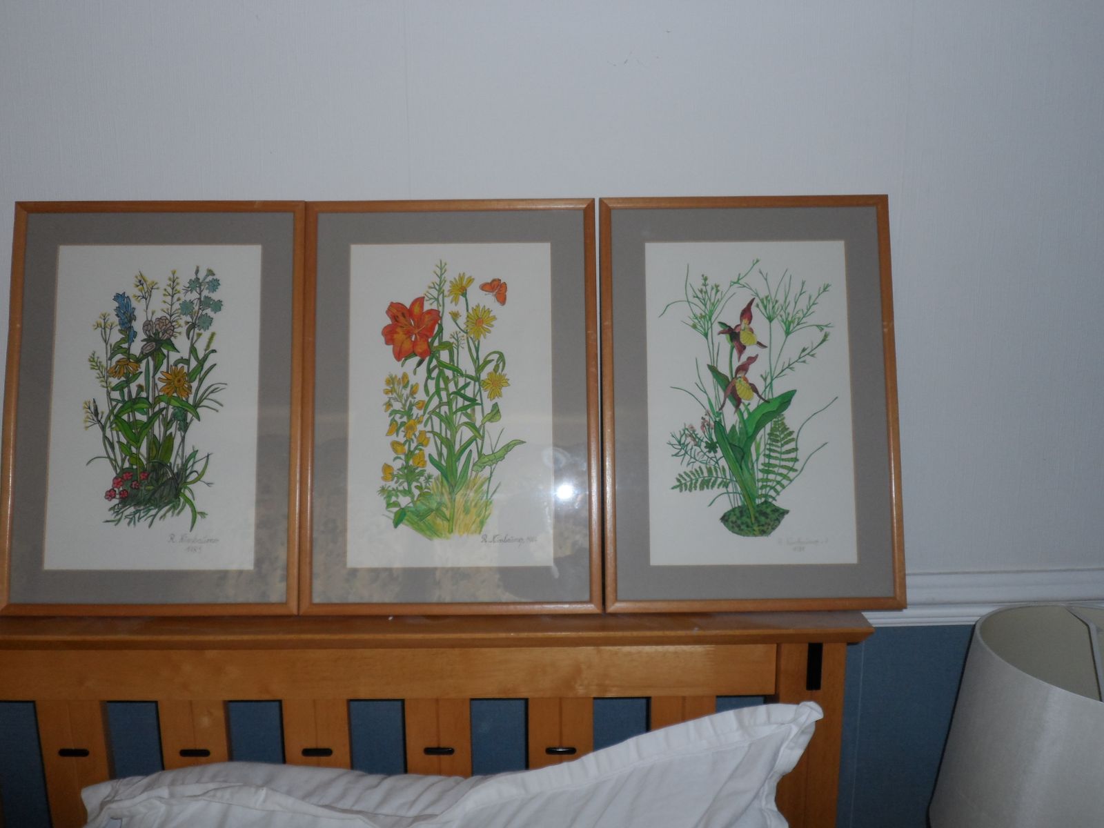 3x Vintage 1980s Signed And Framed Watercolours Of Wild Flowers By R Nussbaumer