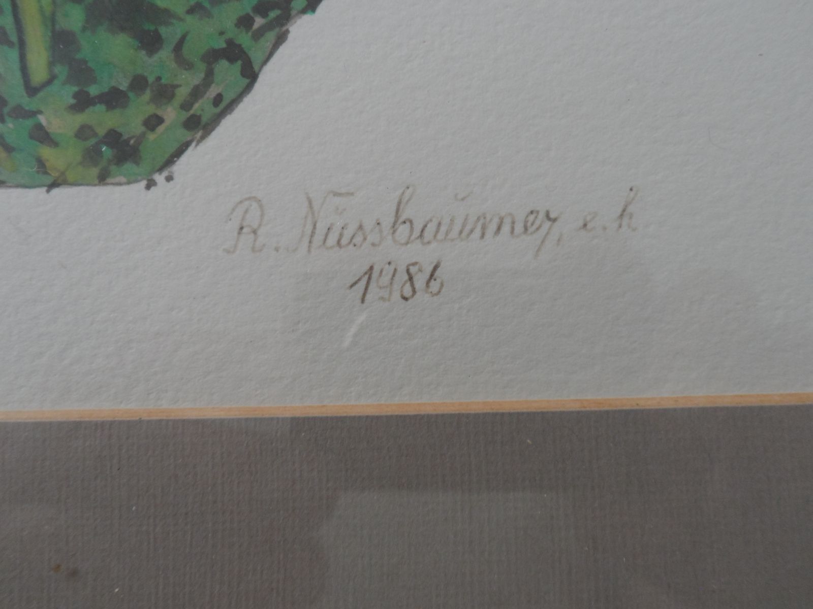 3x Vintage 1980s Signed And Framed Watercolours Of Wild Flowers By R Nussbaumer photo Art
