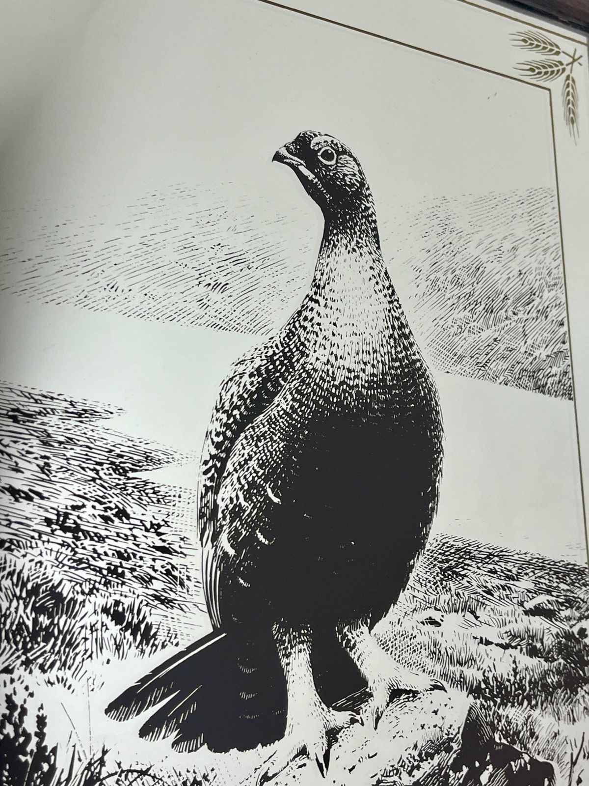 photo furniture Vintage Advertising Mirror, Famous Grouse Finest Scotch Whisky, Pub Distillery Collectible