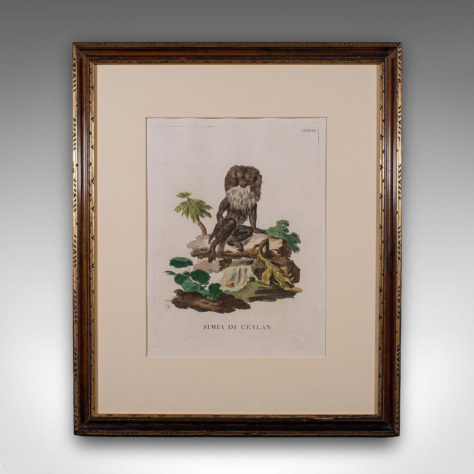 Pair Of Antique Animal Portraits, French, Framed Pictures, Natural Art, Georgian photo Art