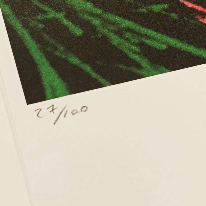1980s Andy Warhol "Flowers" Limited Series Lithograph   Leo Castelli   New York   Numbered In Pencil. photo Art