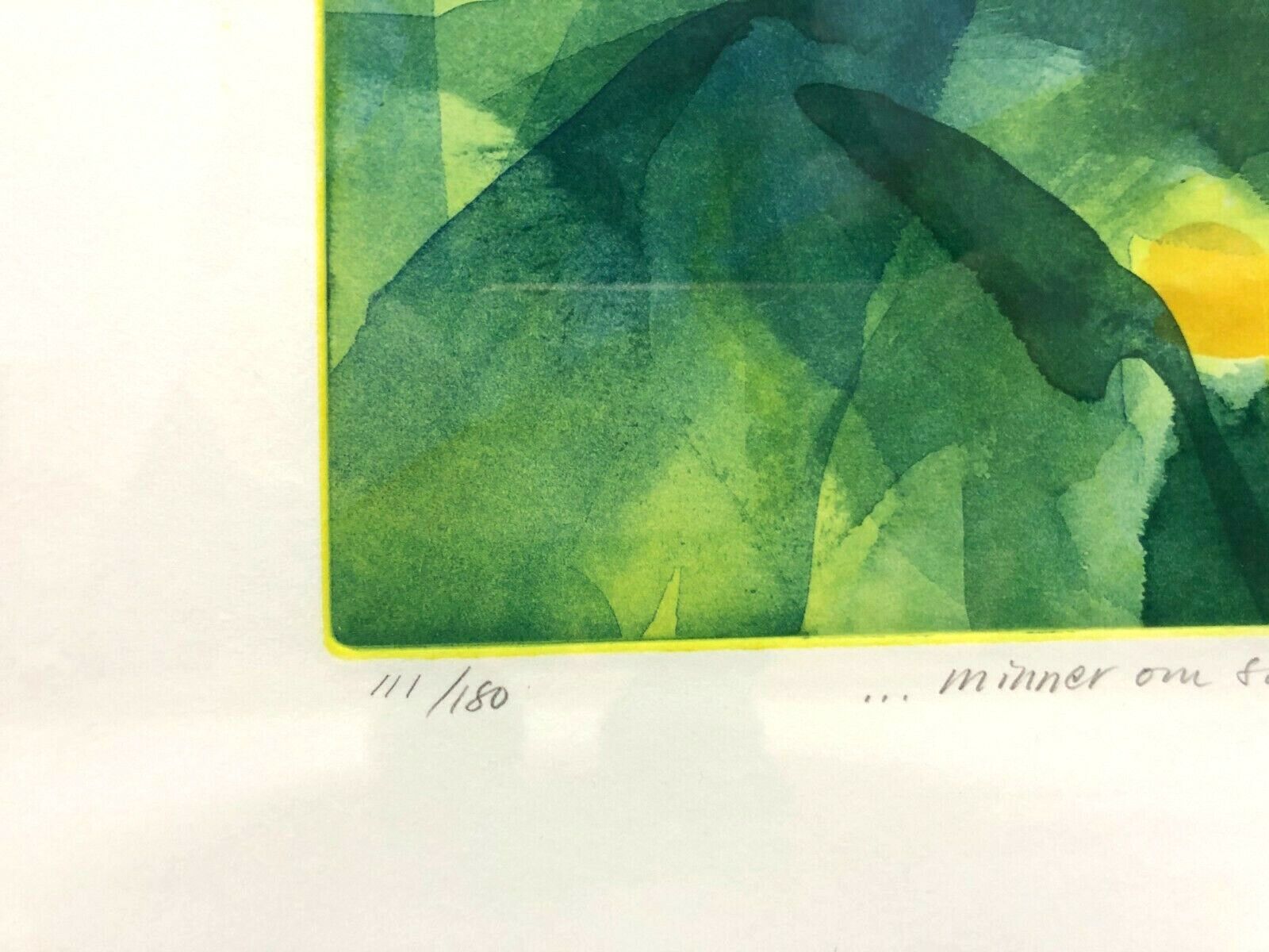 Lithography Floral, By Kersti Strandberg "Reminiscent Of Summer" Original Print photo 190.0