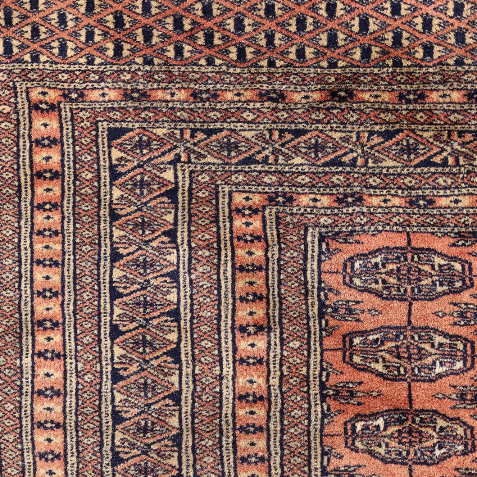 Antique Bukhara Carpet Cotton Wool Thin Knot Pakistan 71 X 48 In photo Textiles