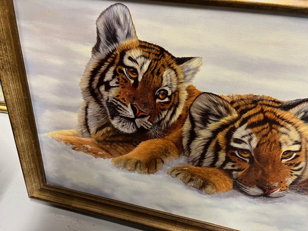 photo furniture Ltd Print Of Tiger Cubs By Johnathon Truss 8/75