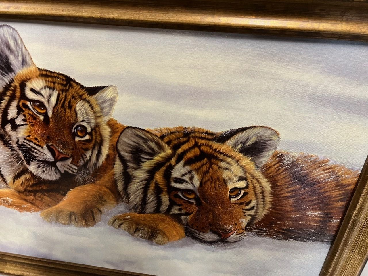 photo for sale Ltd Print Of Tiger Cubs By Johnathon Truss 8/75