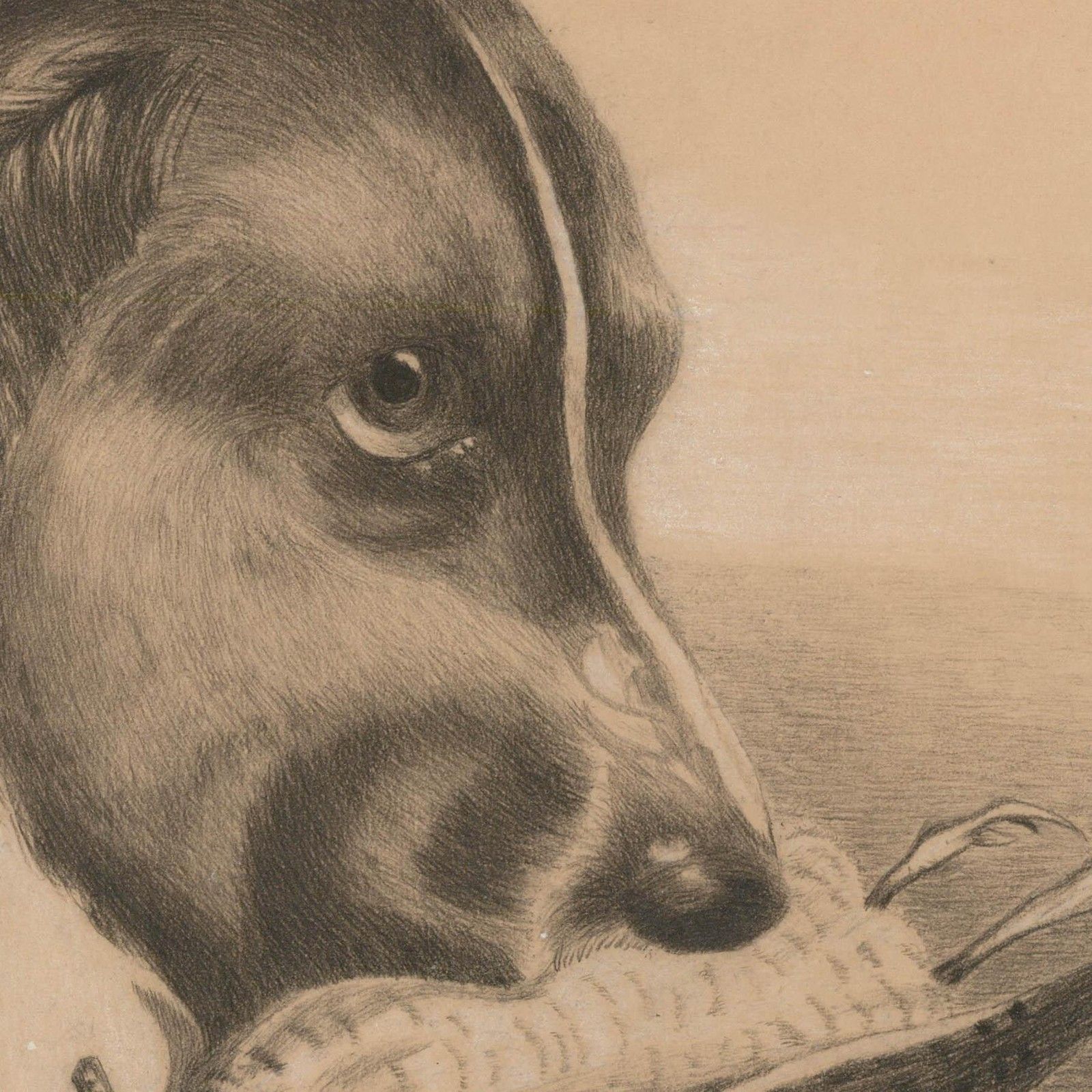 Chrissie M. Williams 1902 Coloured Pencil, Dog With A Bird photo for sale
