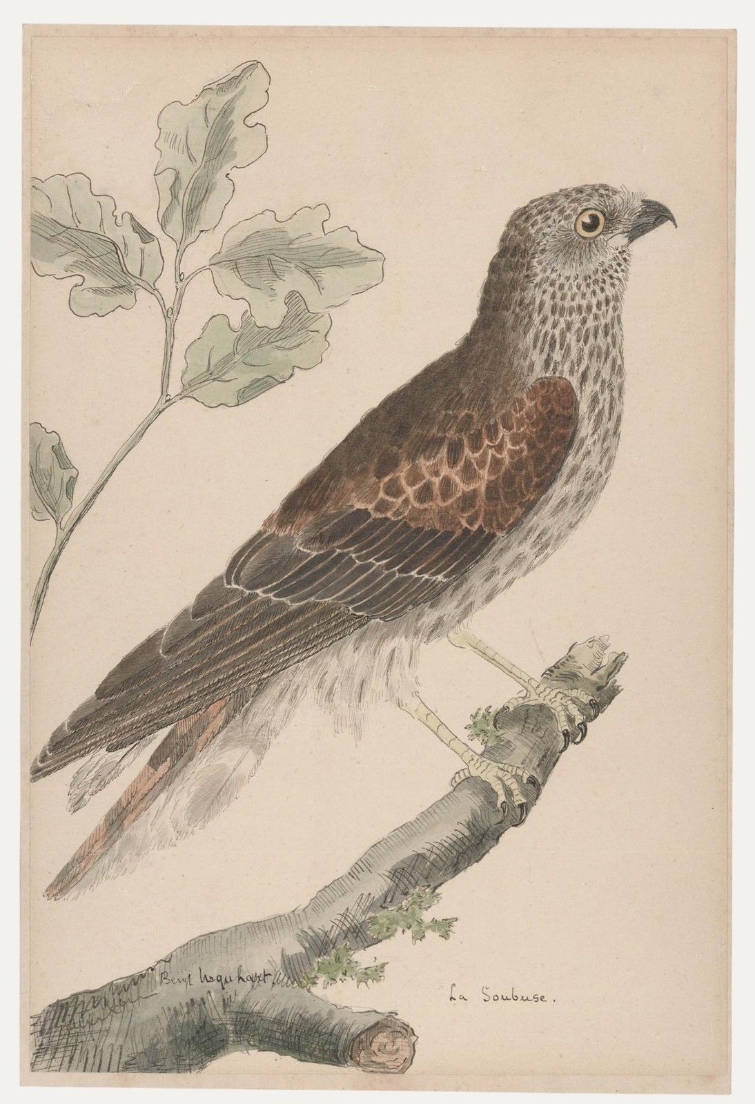 After Francois Nicolas Martinet (1731 1804) Watercolour, La Soubuse