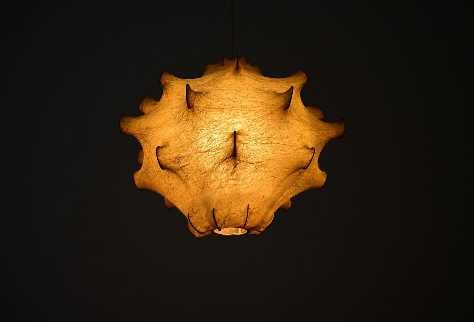Taraxacum Hanging Lamp By Achille & Pier Giacomo Castiglioni For Flos, 1960s photo buy