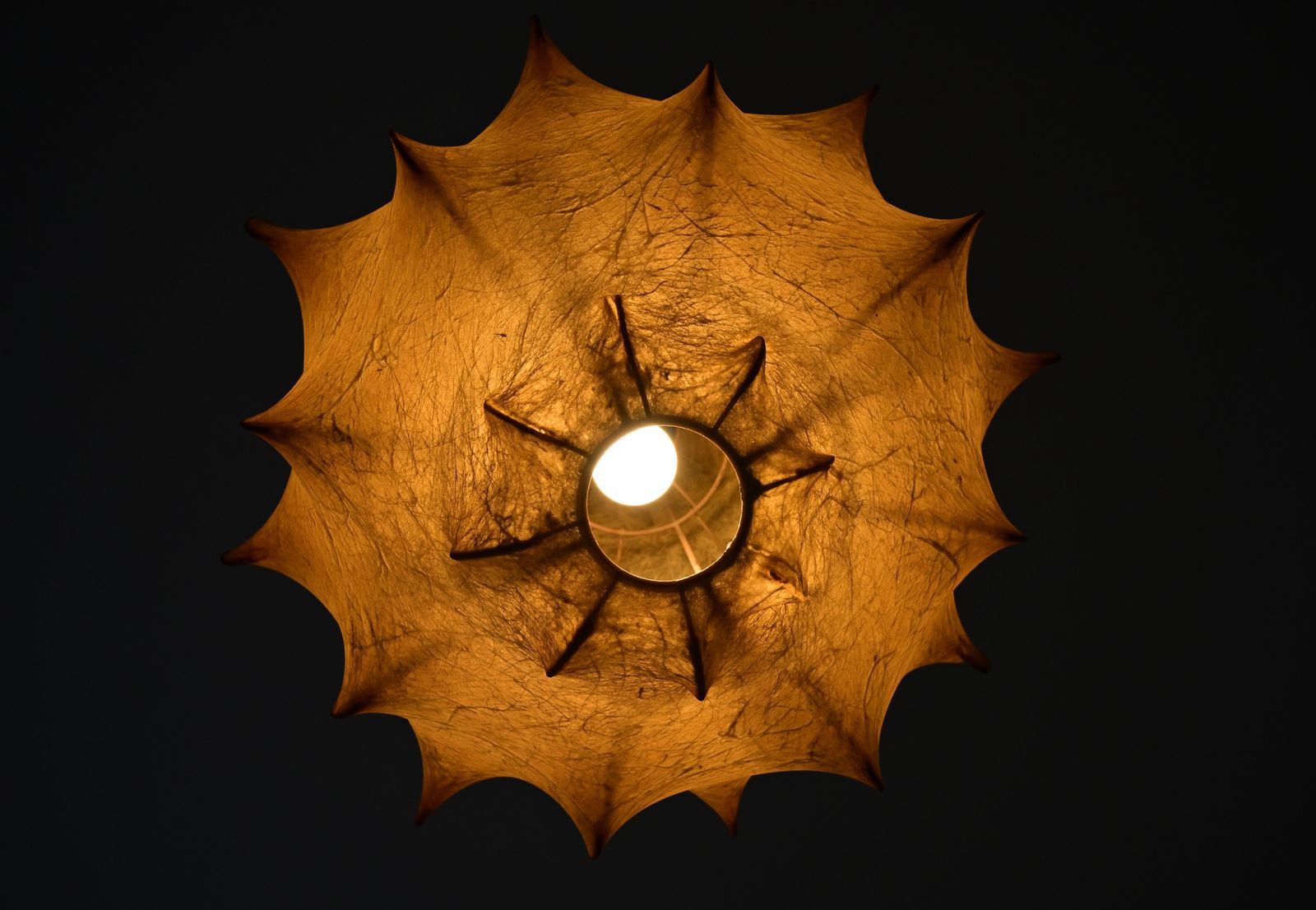 photo furniture Taraxacum Hanging Lamp By Achille & Pier Giacomo Castiglioni For Flos, 1960s