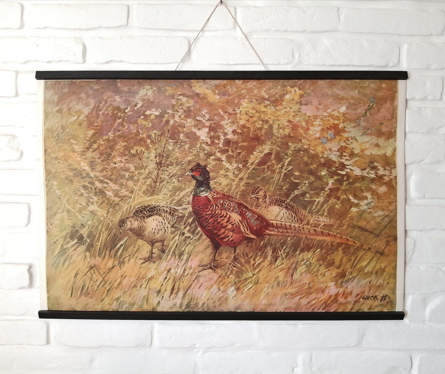 Poster Met Fazant, Ca. Jaren 1950 photo furniture