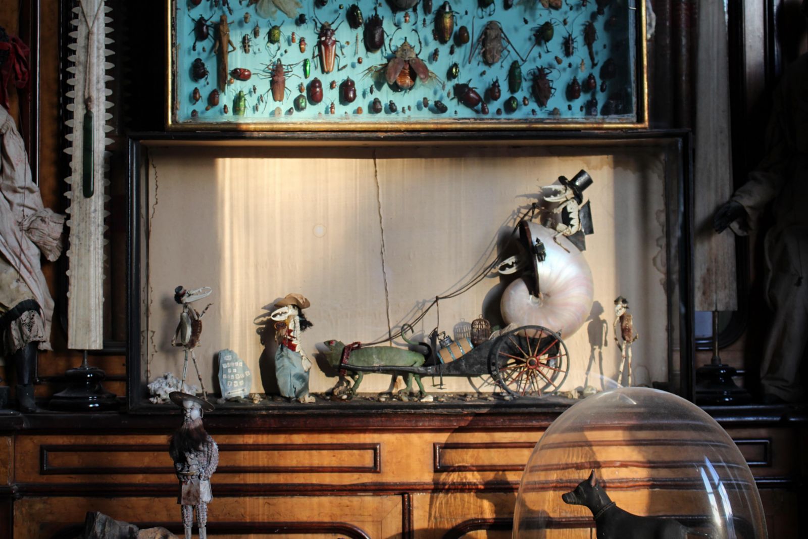 19th C Anthropomorphic Chameleon & Crustacean Taxidermy Scene Walter Potter photo furniture