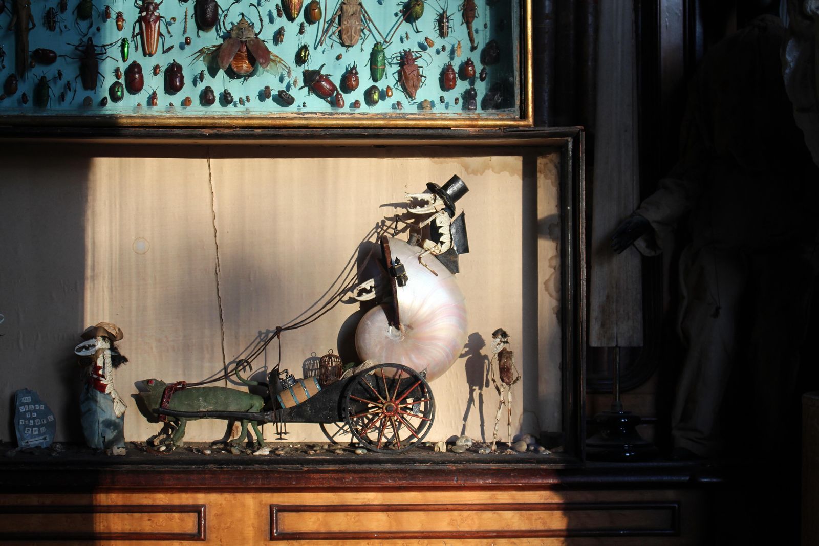 19th C Anthropomorphic Chameleon & Crustacean Taxidermy Scene Walter Potter photo 3571.0