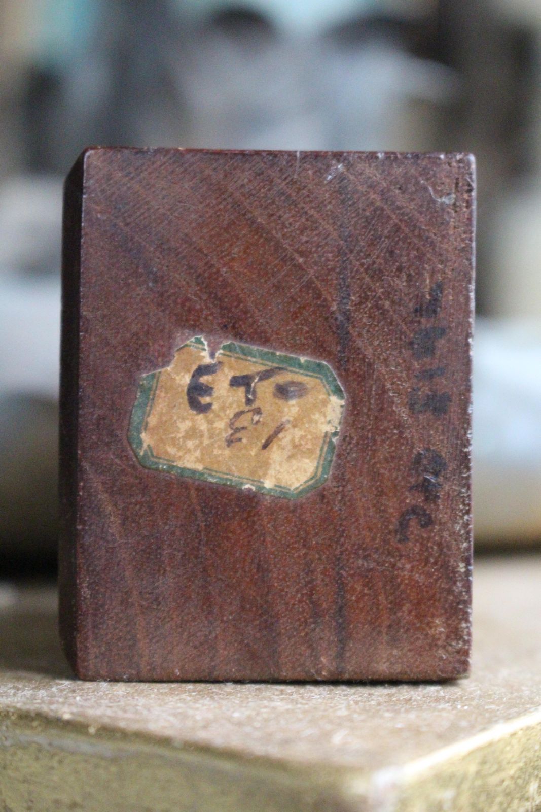 photo furniture 19th C Mouse Curiosity Cavendish Tomb Taxidermy William Bentinck Prime Minister