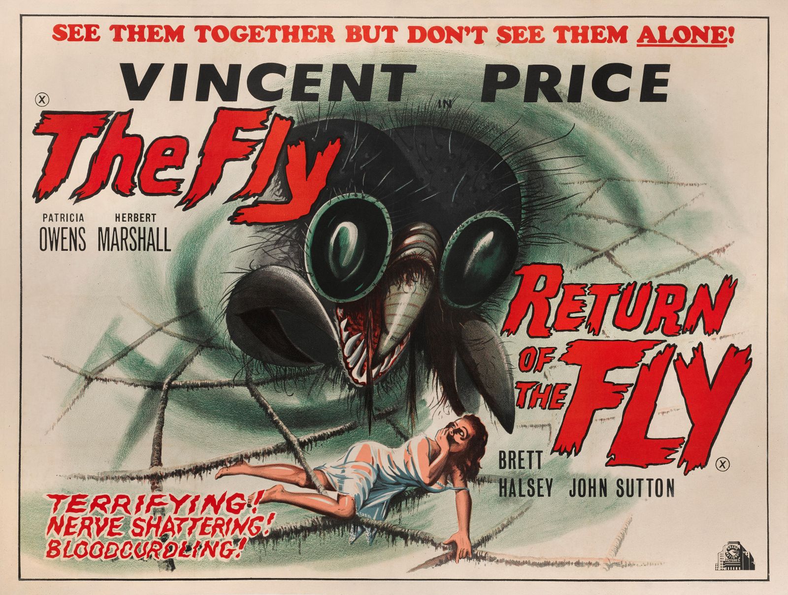 The Fly / Return Of The Fly photo Art