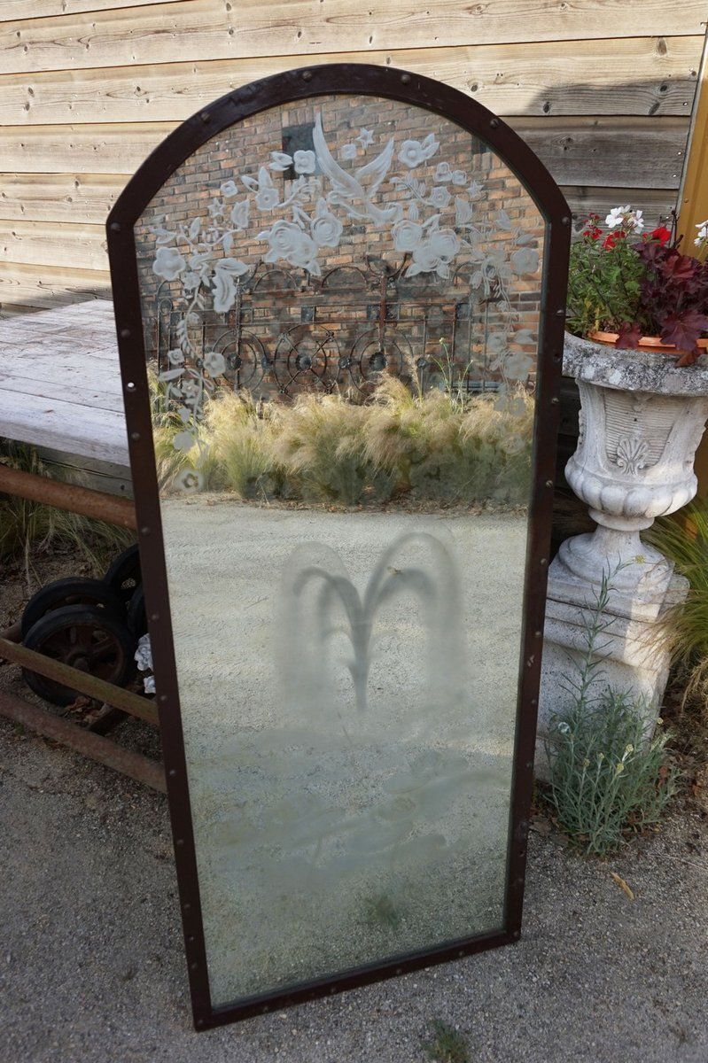 19th Century Belle époque French Etched Mirror With Fountian, Water Lilies And Dove Motif photo for sale