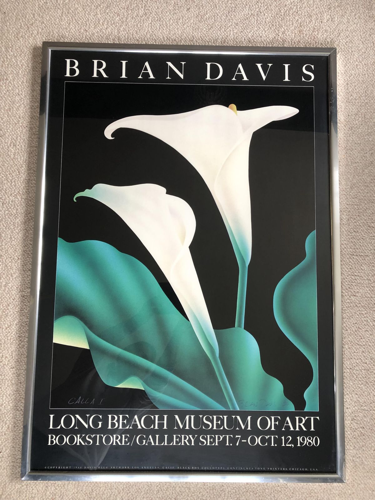"Calla I" Framed Poster From The Long Beach Museum Of Art, California photo Art