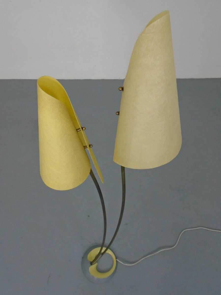 1648.0 Fiberglass & Brass Floor Lamp By Carl Auböck For Dame & Co. Neheim, Germany, 1950s photo
