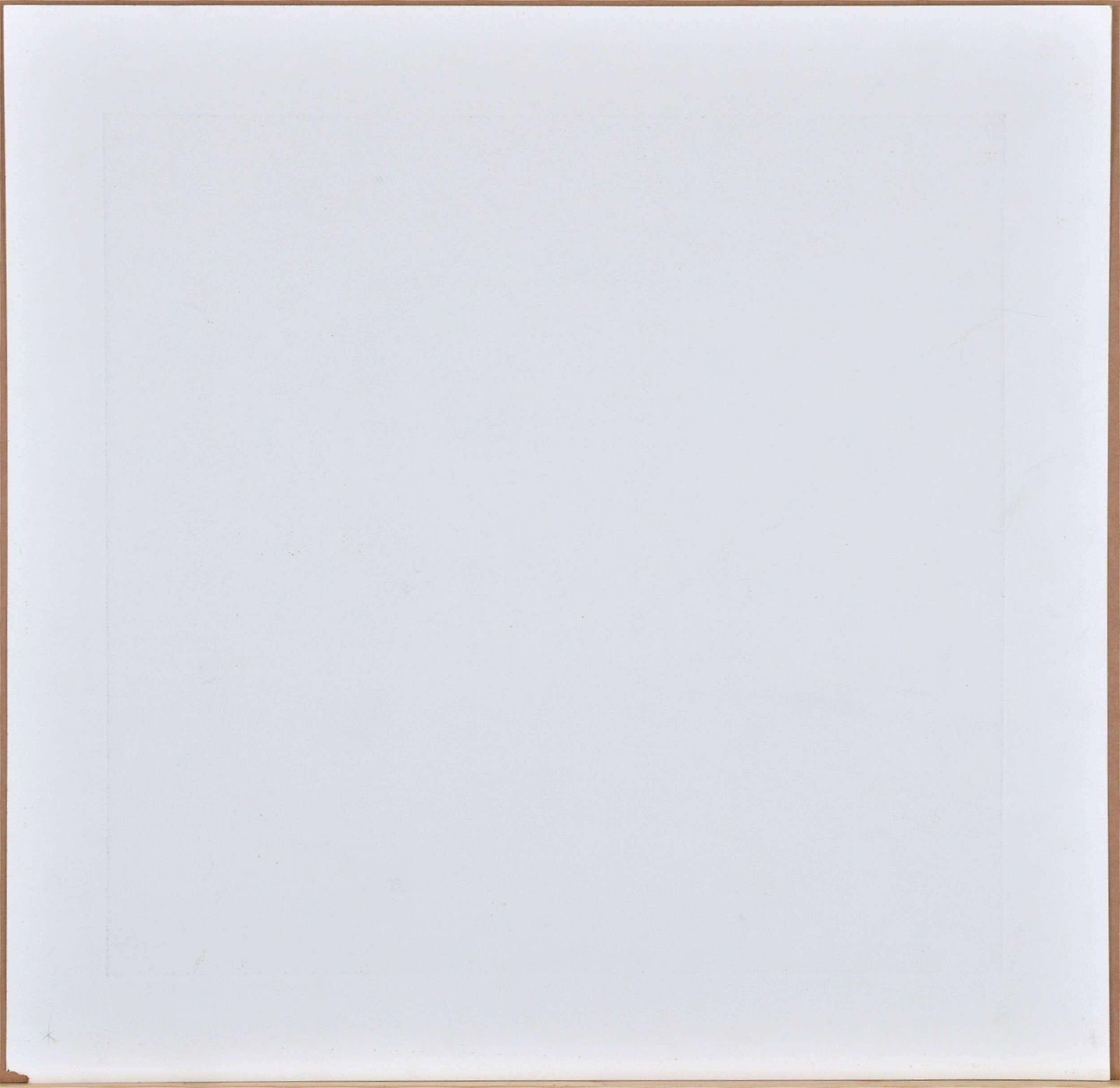 photo for sale Nele Zirniteporioheresis. 2004. Paper, Etching, 49.5x51.5 Cm2004