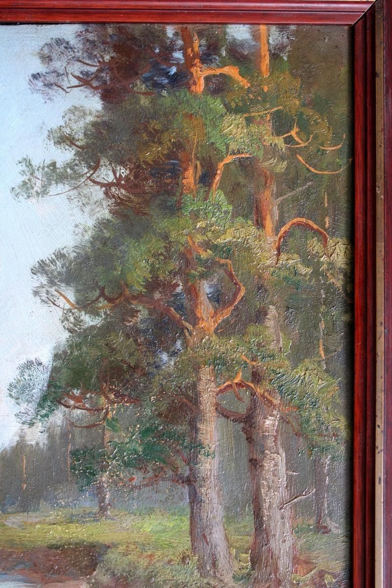 Semyon Sergeevich Platonovpine Trees On The River Bank  Cardboard, Oil, 39x20 Cm photo 1561.0