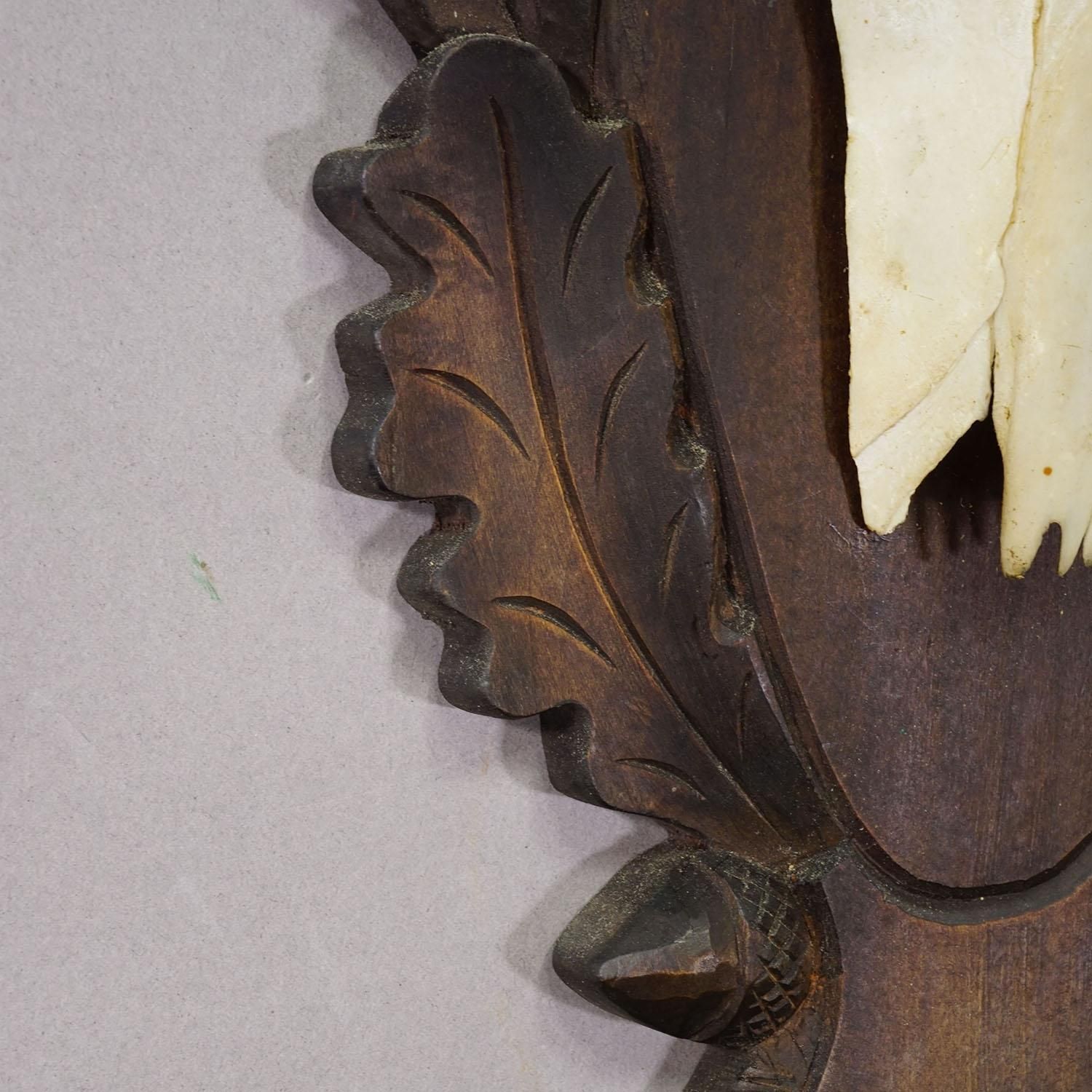 Large Black Forest Red Deer Trophy On Carved Plaque   Germany 1930 photo vinterior