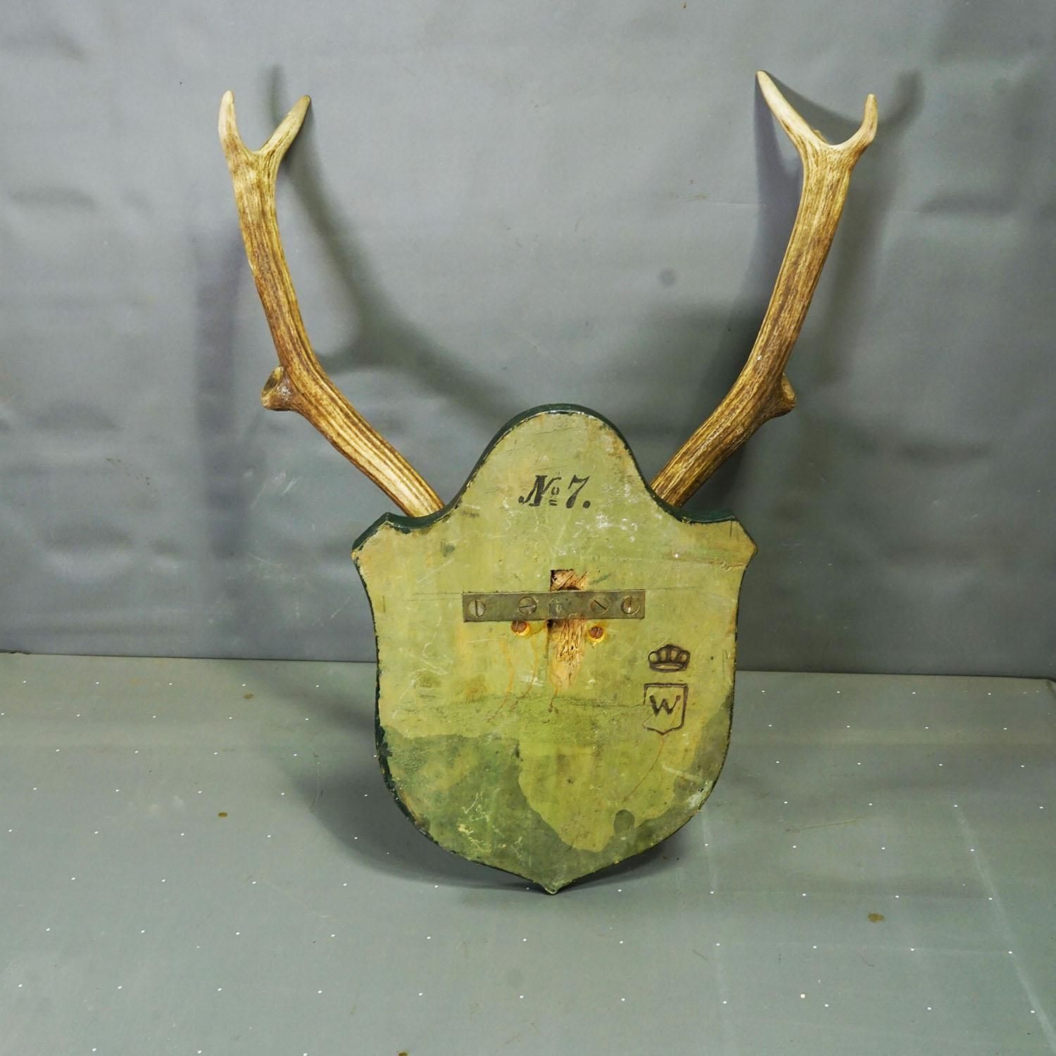 Large Black Forest Red Deer Trophy On Carved Plaque   Germany 1920 photo 519.0