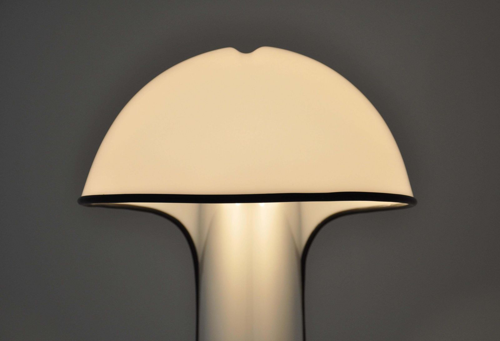 7076.0 Alba Floor Lamp By Sergio Brazzoli & Ermanno Lampa For Harvey Guzzini, 1970s photo