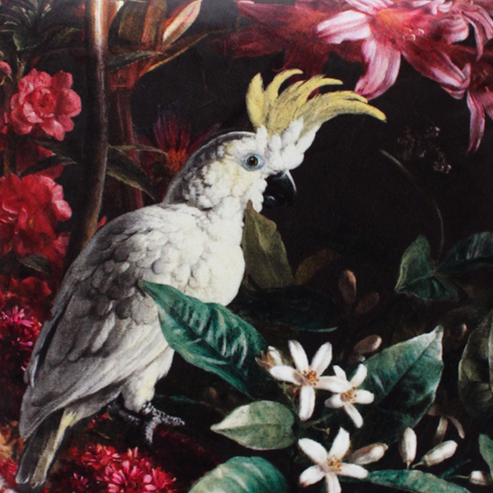 Contemporary Dark And Fuchsia Cotton And Moire Fabric Parrots Pair Of Pillows photo vintage