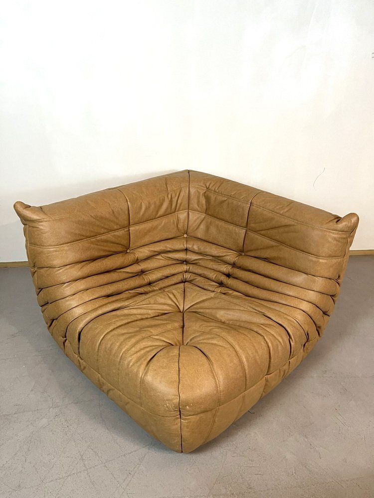 Camel Leather Togo Sofa Set By Michel Ducaroy For Ligne Roset, Set Of 5 photo furniture