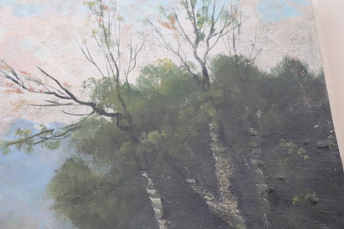 Landscape, Oil Painting On Canvas, 19th Century, Framed photo vintage