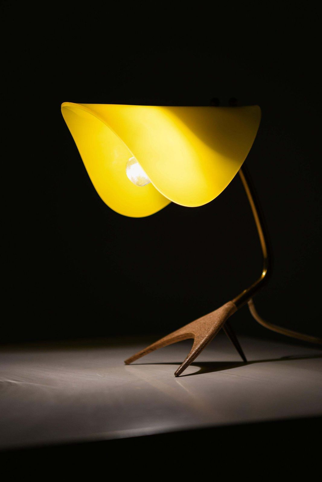 Table Lamp In Lacquered Metal, Brass And Plastic By Louis Kalff, 1950's photo Lighting