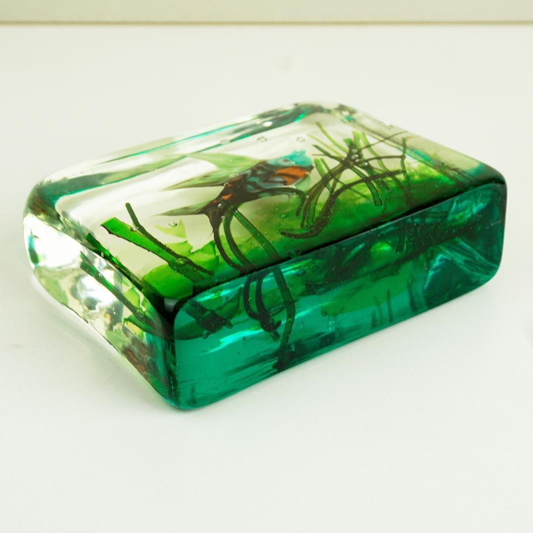 Home Decor Murano Glass Aquarium By Riccardo Licata For Gino Cenedese, Italy 1960s photo