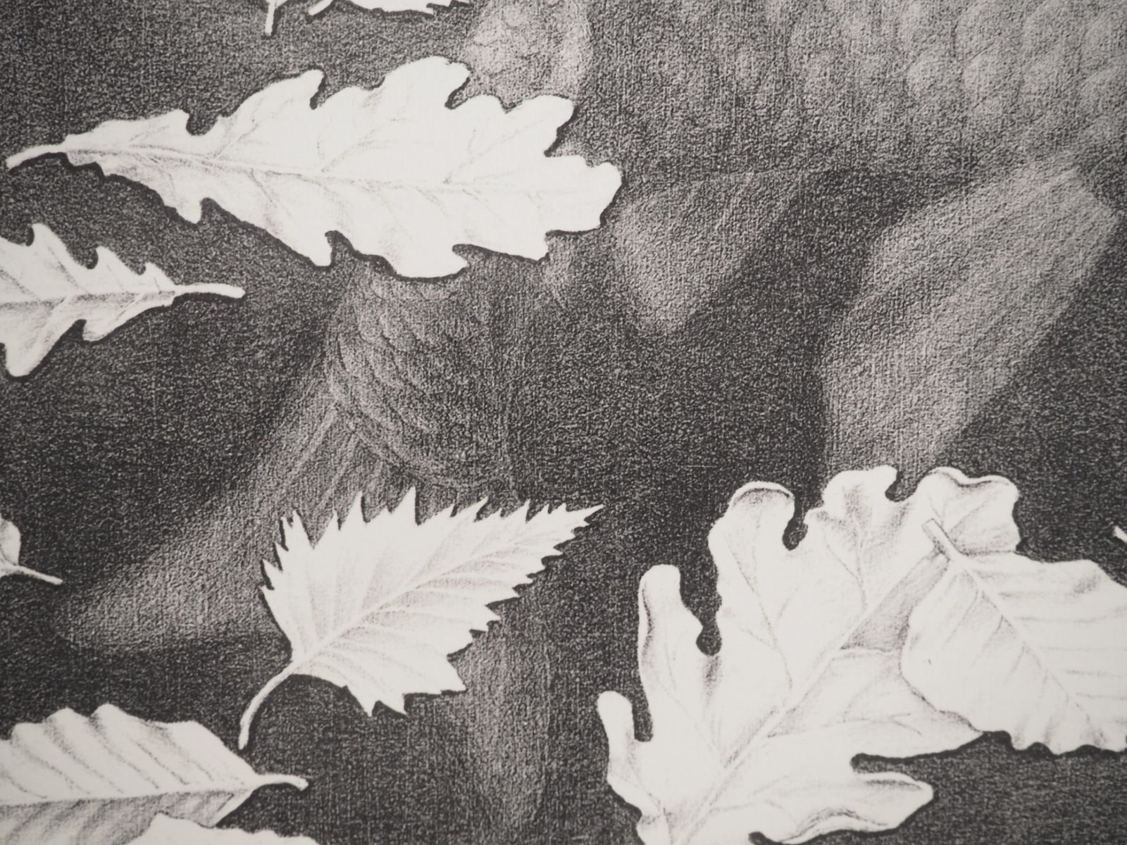 photo for sale M.C. Eschernature   Autumn And Carp   Signed Facsimile, Ltd /4502008