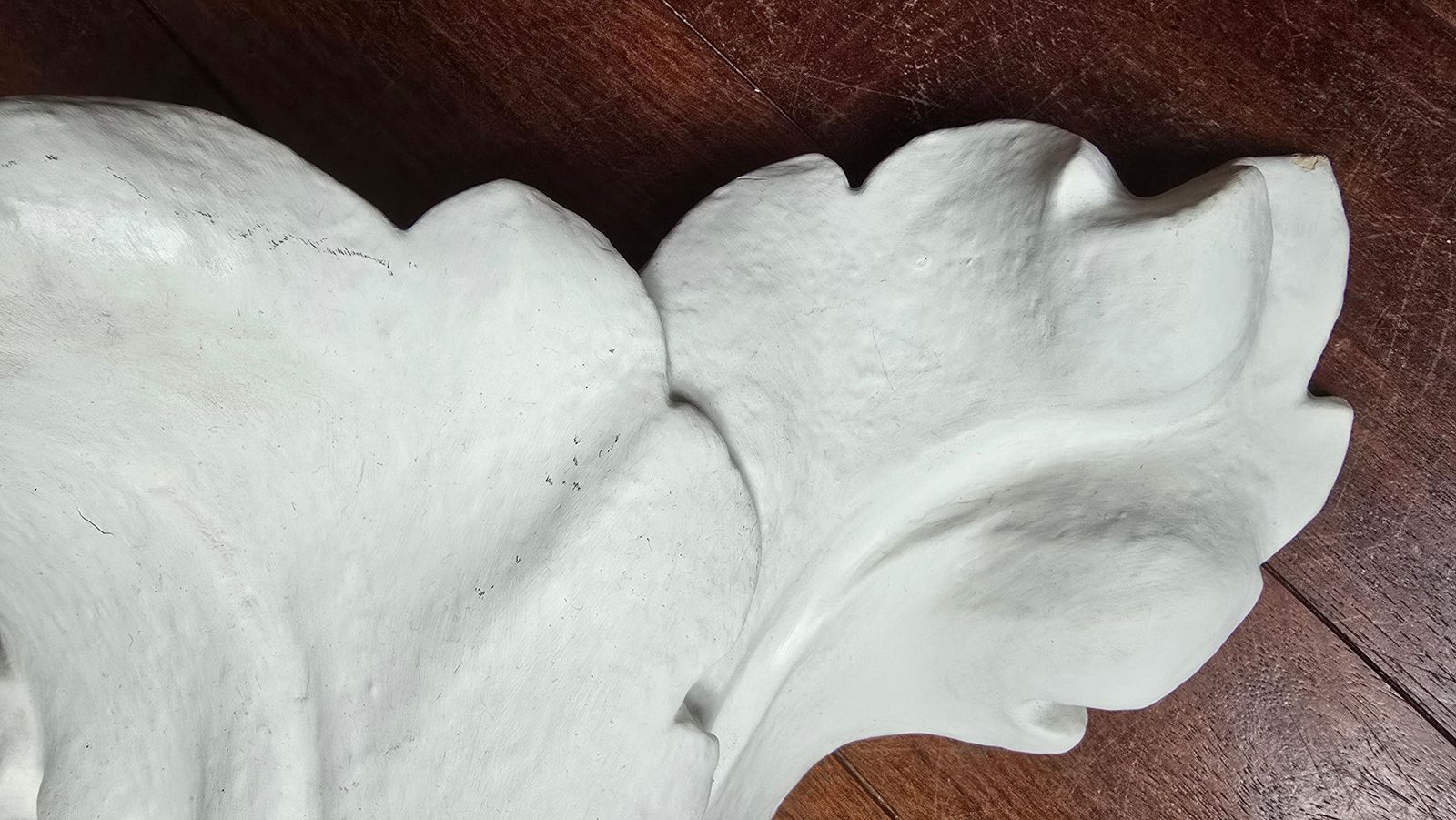 photo for sale Pair Of Large Acanthus Architectural Wall Lights, France Circa 1900