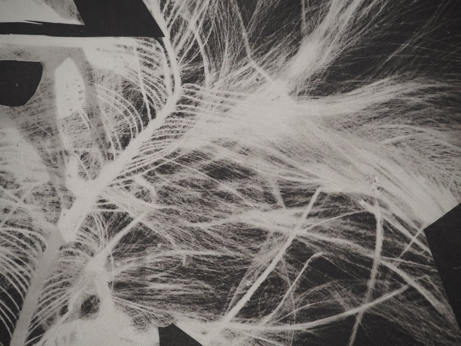 Pablo Picassodiurnes: Werewolf (On Fire)   Original Collotype And Stencil (Cramer #115)1962 photo vinterior