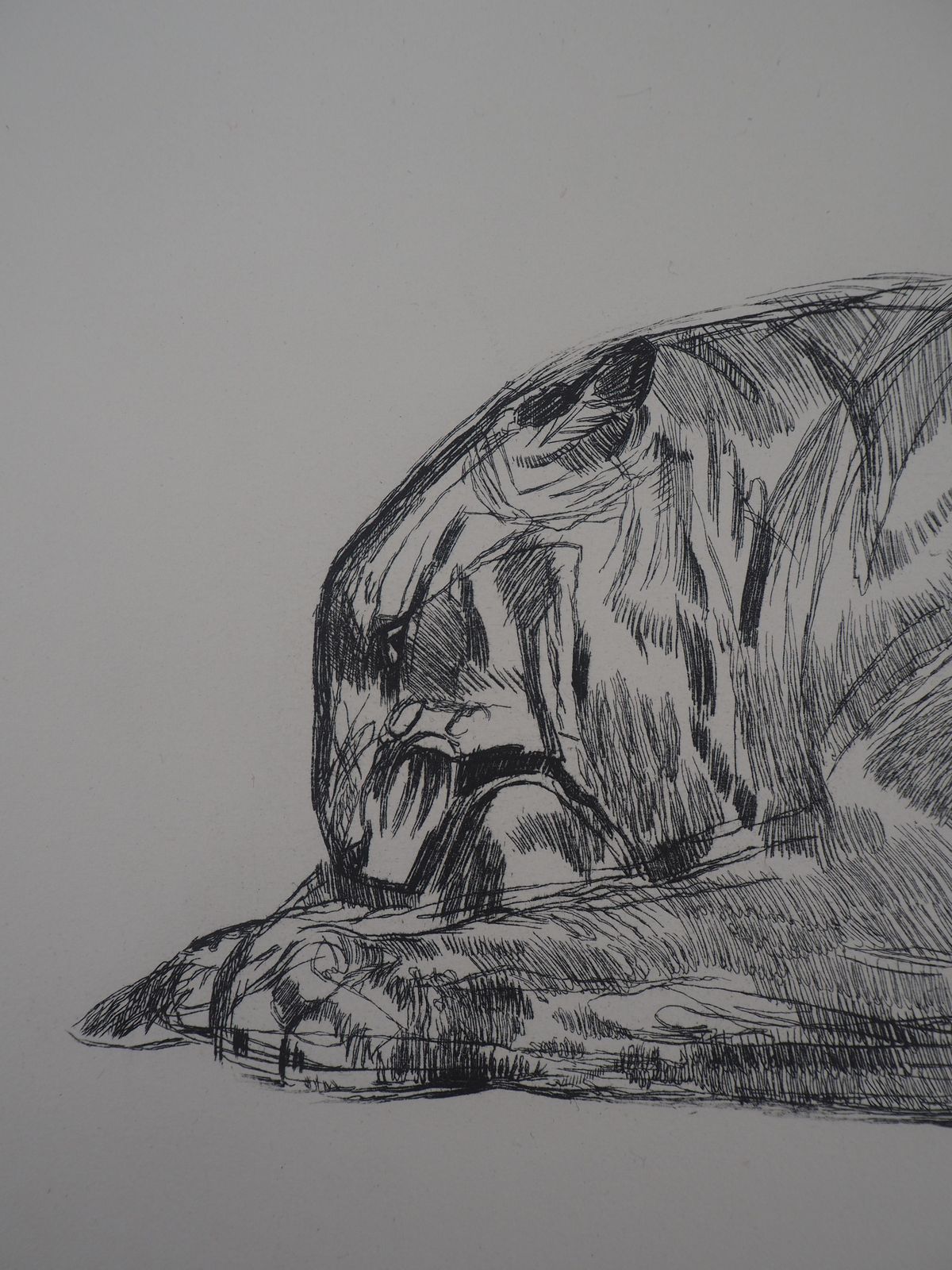Paul Jouvetiger Eating   Original Etching (Marcilhac #370)c. 1931 photo buy