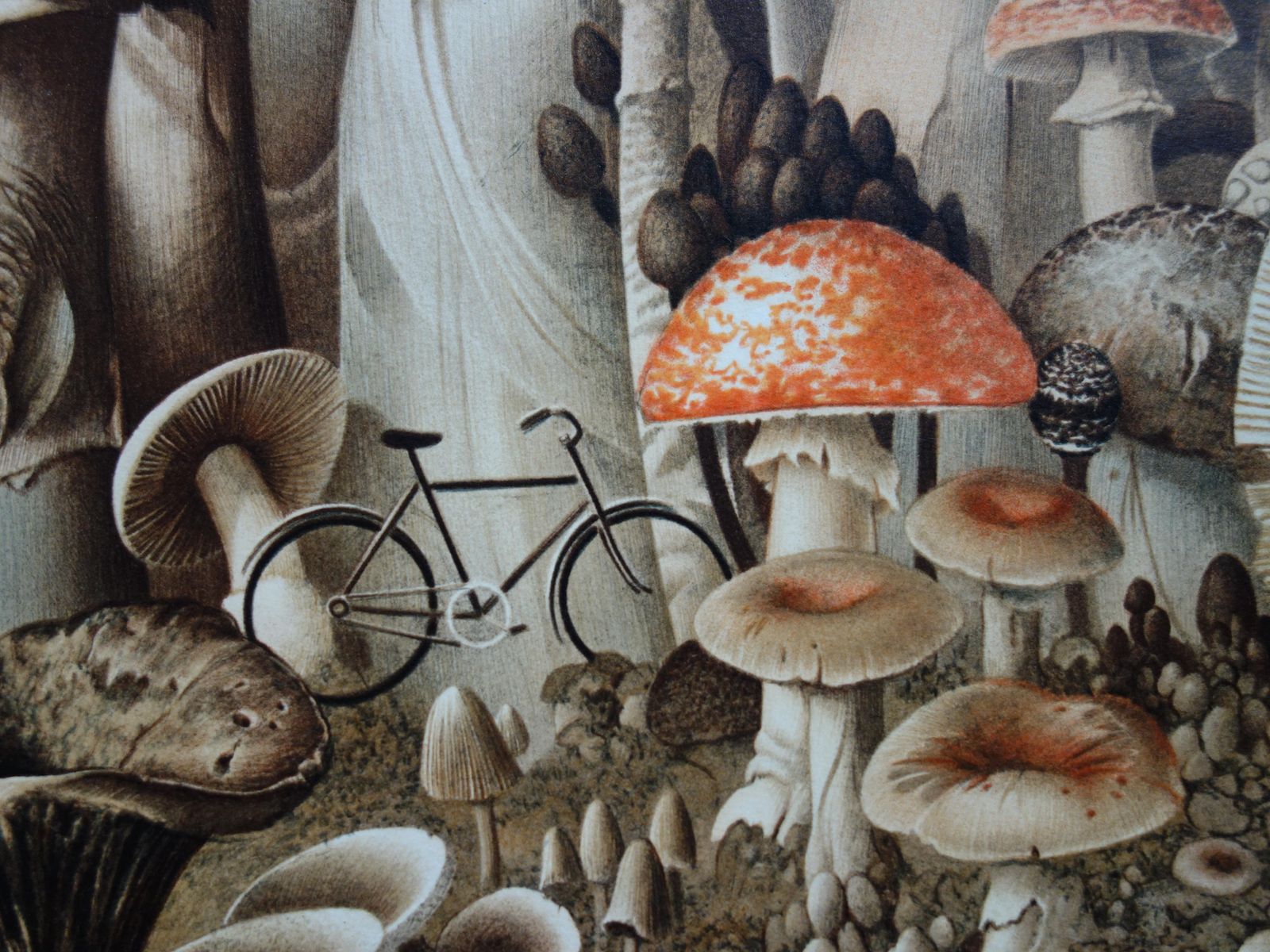 Roland Catbicycles And Mushrooms   Original Handsigned Lithograph1985 photo Art