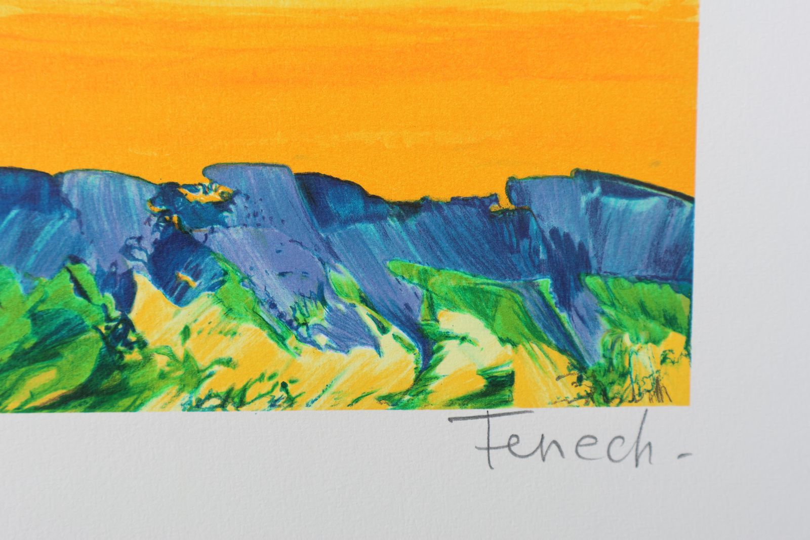 Serge Fenechprovencal Landscape   Original Lithograph, Handsigned & Ltd /2901982 photo for sale