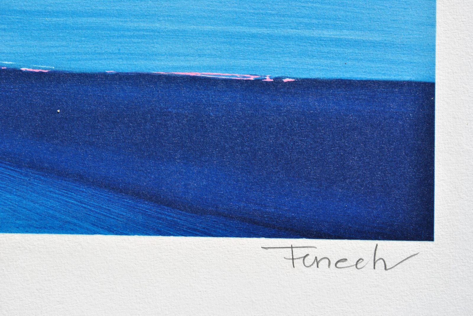 Serge Fenechflower Bouquet And Mediterranean   Original Lithograph, Handsigned & Ltd /2901982 photo for sale