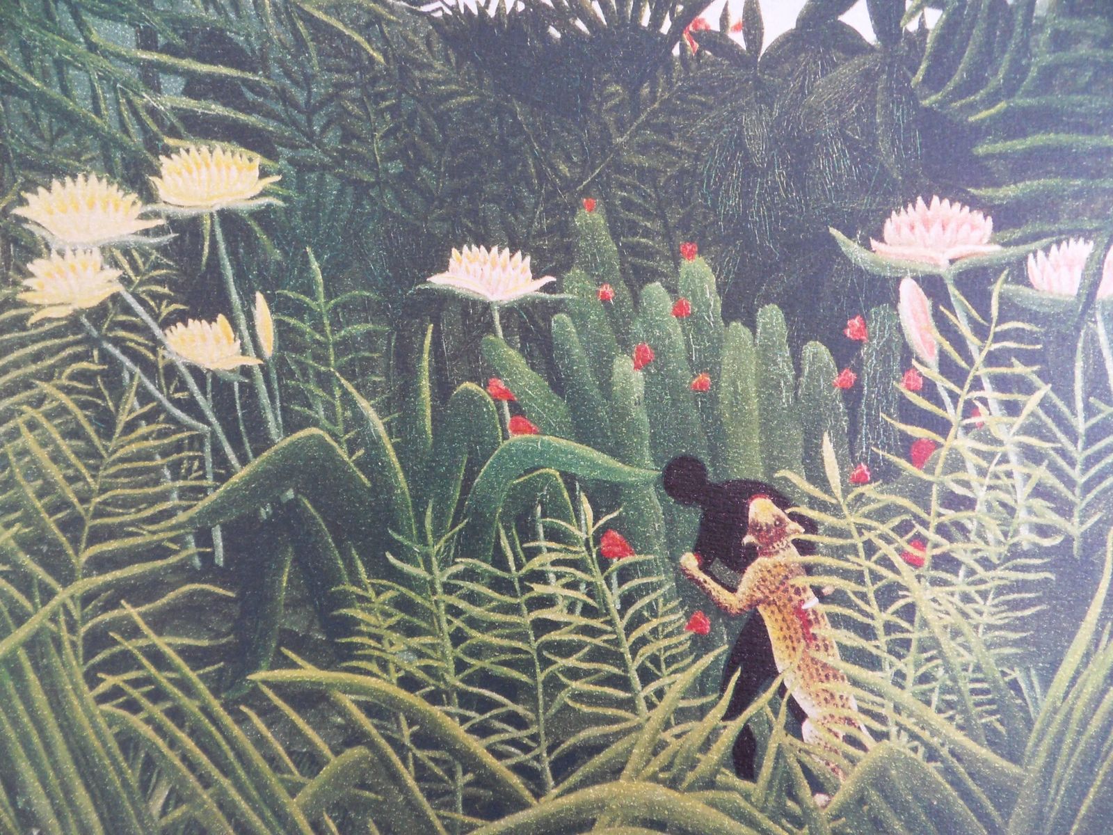 Virgin Forest With Sunset   Lithograph   Limited /300ex1976 photo for sale